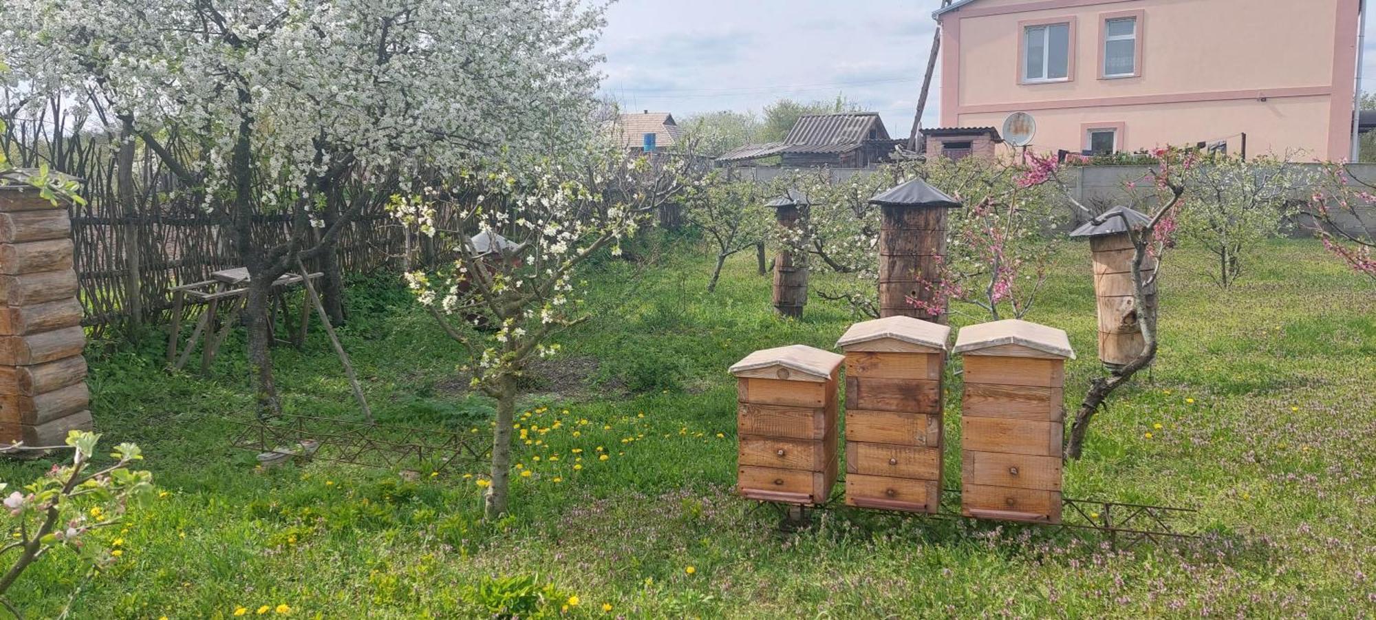 Садиба Зеленого Туризму «Золота Рибка» Medvedevka 외부 사진